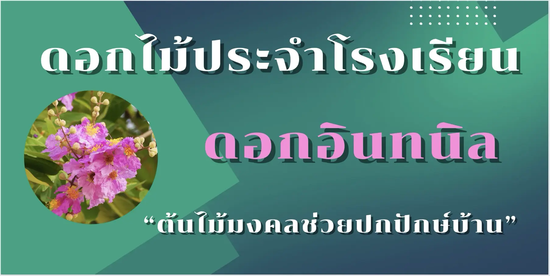 รับทำเว็บไซต์ ฤทธิณรงค์รอน ดอกไม้ประจำโรงเรียน